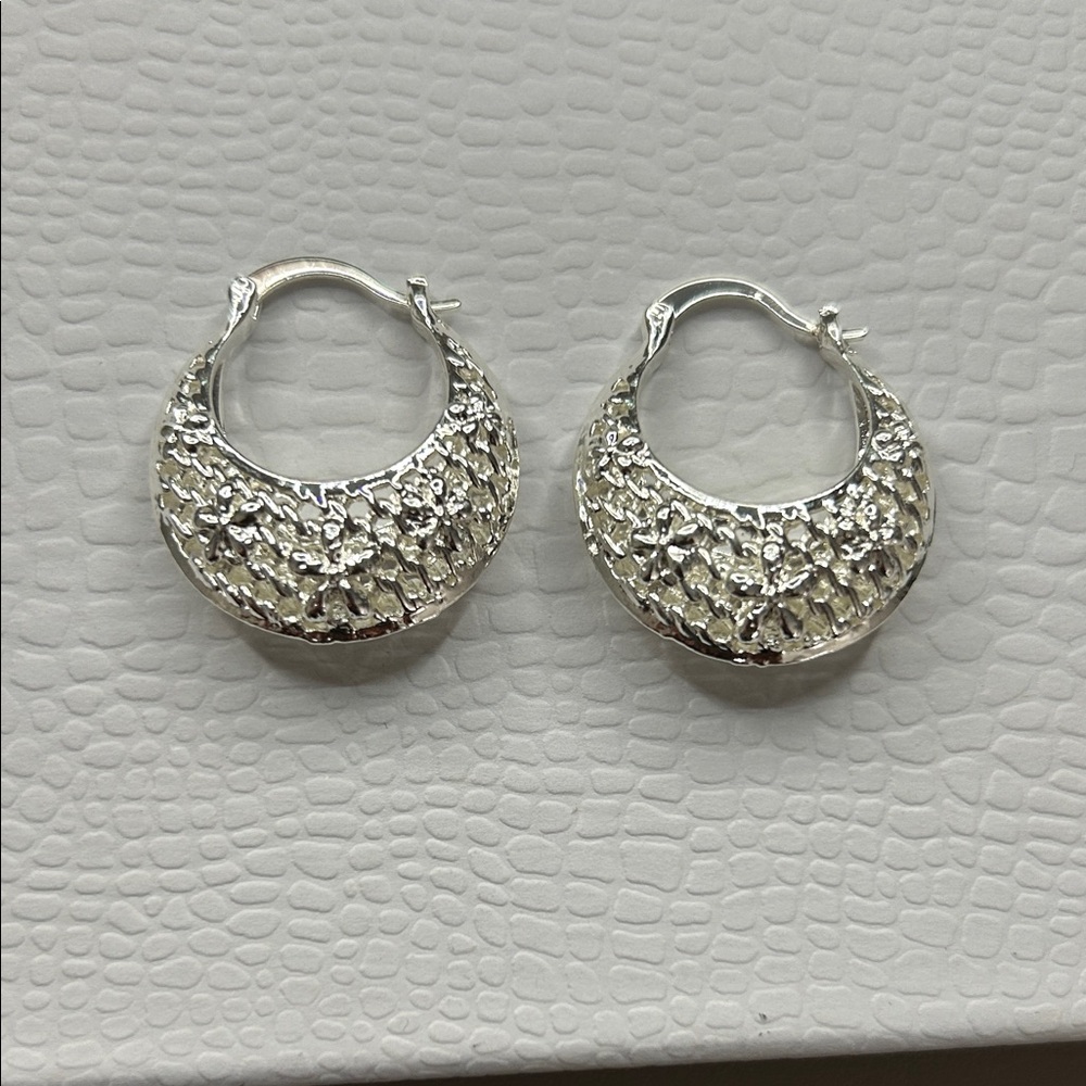 Elegant Silver Hoop Earrings